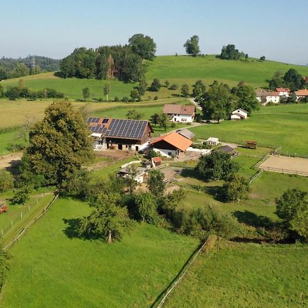 Carlo Appartement Wangen im Allgäu Buitenkant foto