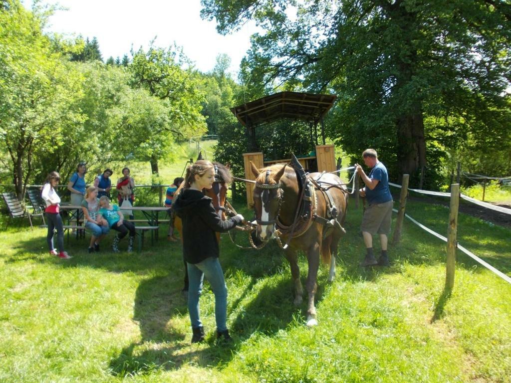 Carlo Appartement Wangen im Allgäu Buitenkant foto