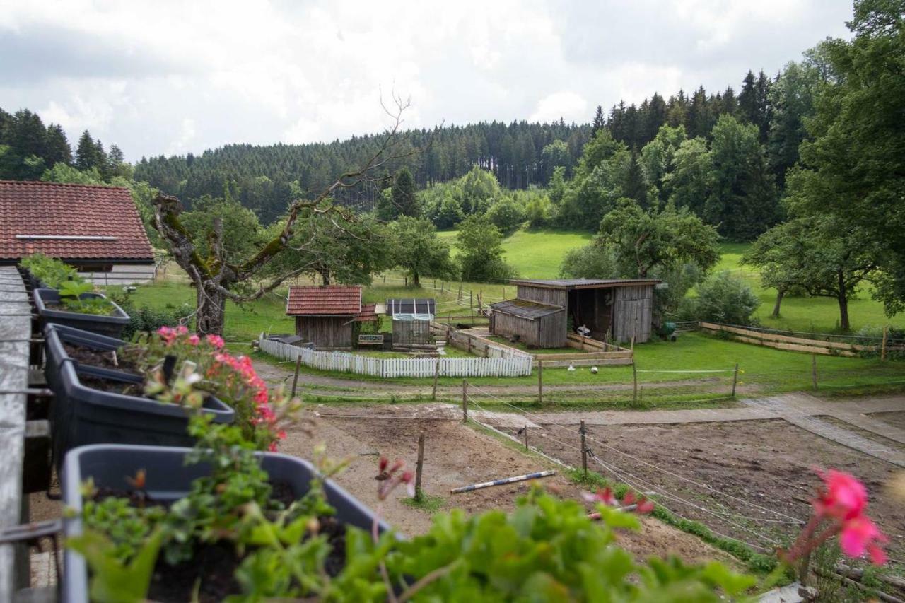 Carlo Appartement Wangen im Allgäu Buitenkant foto