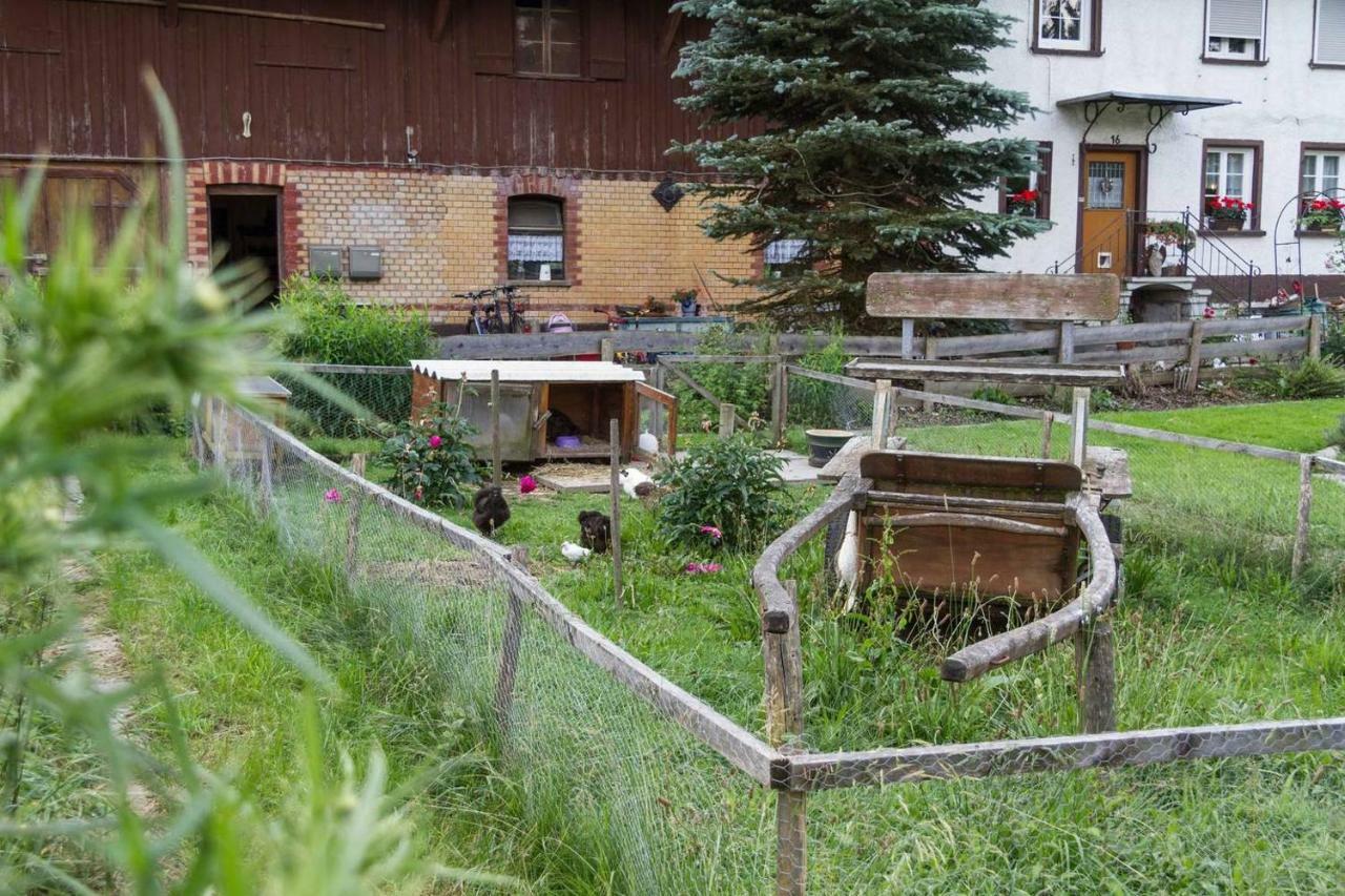 Carlo Appartement Wangen im Allgäu Buitenkant foto