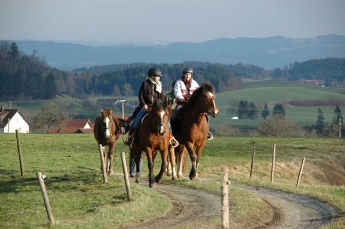 Carlo Appartement Wangen im Allgäu Buitenkant foto